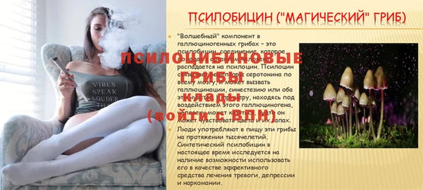 MESCALINE Михайловск